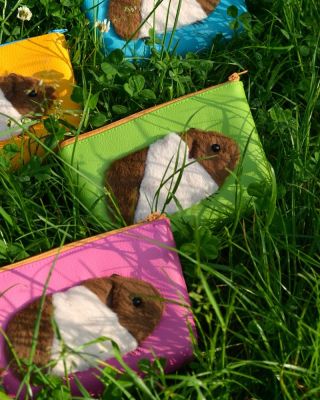 Hele kdo je tady! 😍 Tahle nová banda chlupaťoučkých slaďoušů už se nemůže dočkat, až se zabydlí ve Vašich kabelkách 🐹...