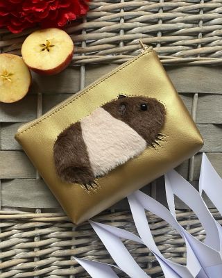 Kdo potřebuje prasátko, když má zlaté morčátko 🌟😃🌟#adventjetu #guineapig